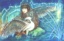 dthumb/009whitebird.jpg